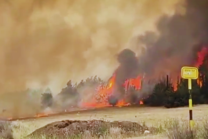 Fires Ablaze in a Stolen Land: A Failing Zionist Project in Flames