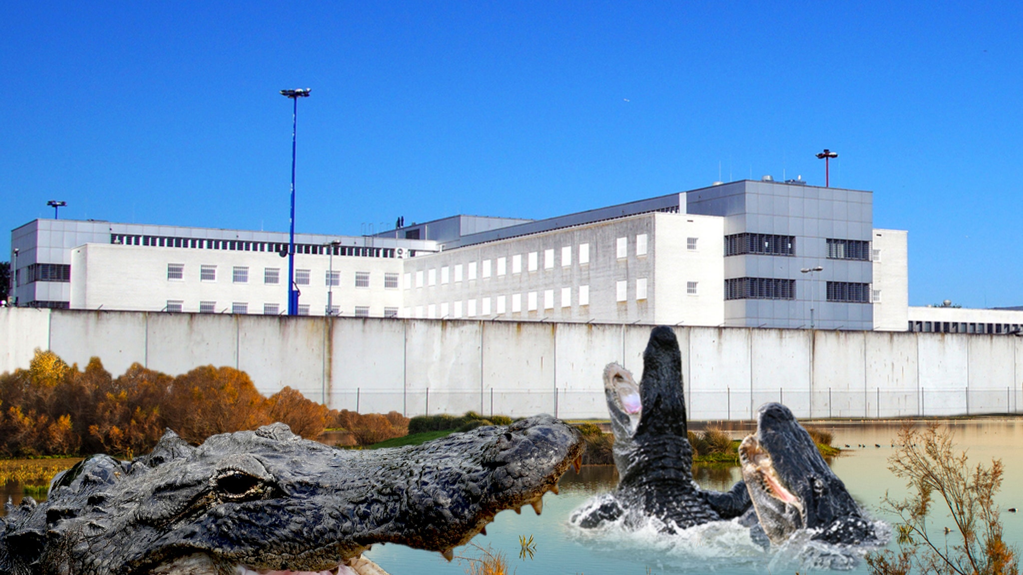 Florida A.G. Offers Up ‘Alligator Alcatraz’ in Everglades to Hold Immigrants