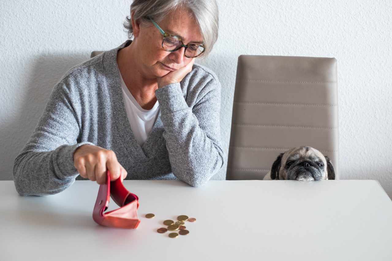 Young people lack financial literacy. But older folks aren’t that much smarter.