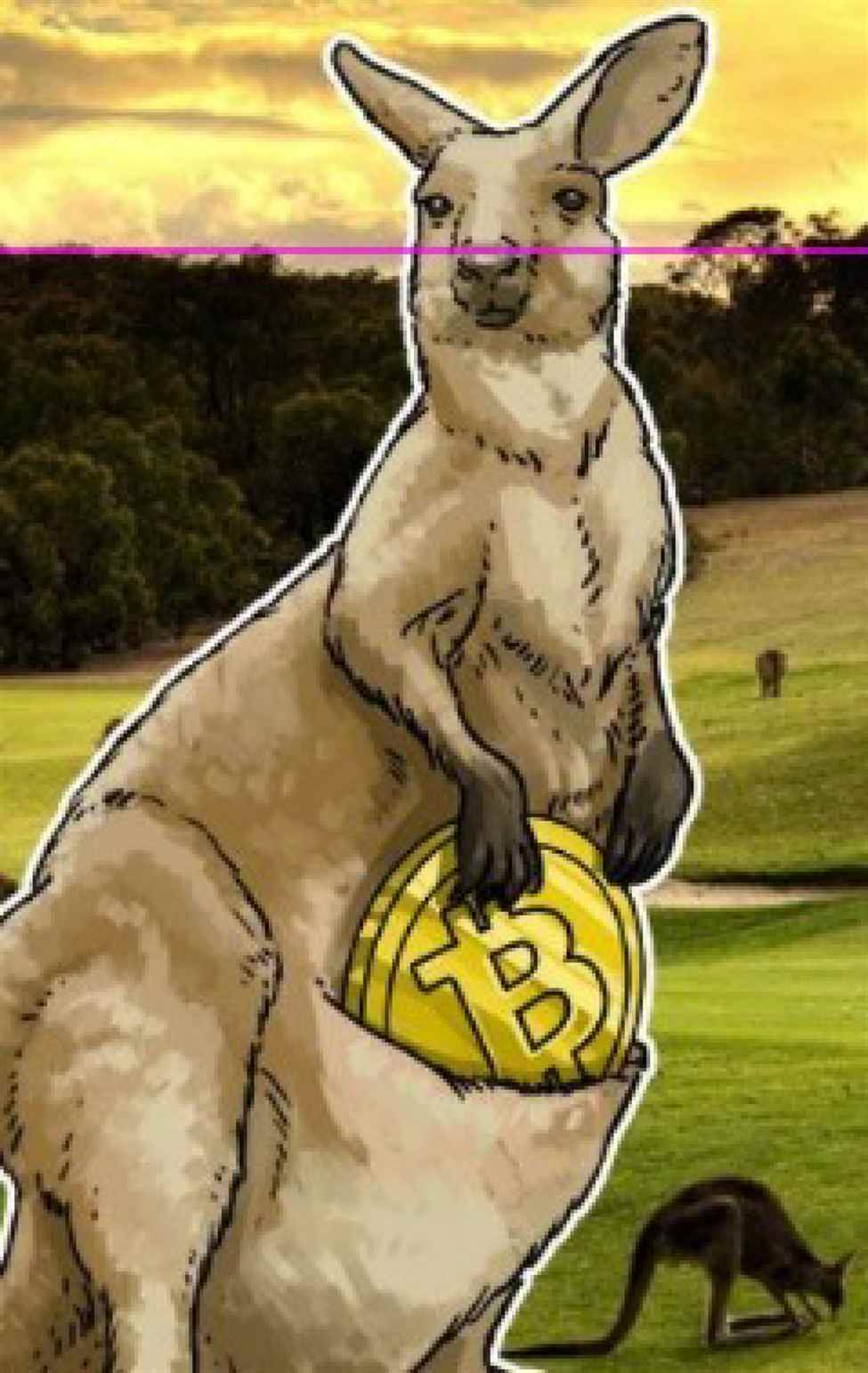 New Solana ETF could pave the way for wider adoption of niche cryptos